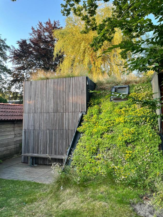 Tiny-House Van Zeecontainers Bij Het Bos أورانييفاود المظهر الخارجي الصورة